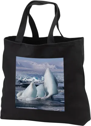 3dRose Danita Delimont - Icebergs - Iceland, Jokulsarlon. Vatnajokull Glacier fills the frozen lagoon. - Tote Bags