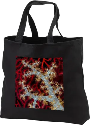 Black Tote Bag JUMBO 20w x 15h x 5d - South Pacific, Solomon Islands. Sea fan and soft coral. Marine life