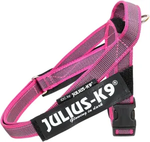 Julius-K9, 16IDC-M-PN-2015, IDC Color & Gray Belt Harness for Dogs, Size: Mini, Pink-Gray