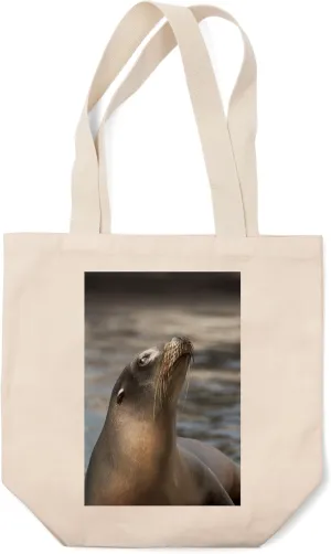 Lantern Press Harbor Seal (100% Cotton Canvas Reusable Tote Bag)