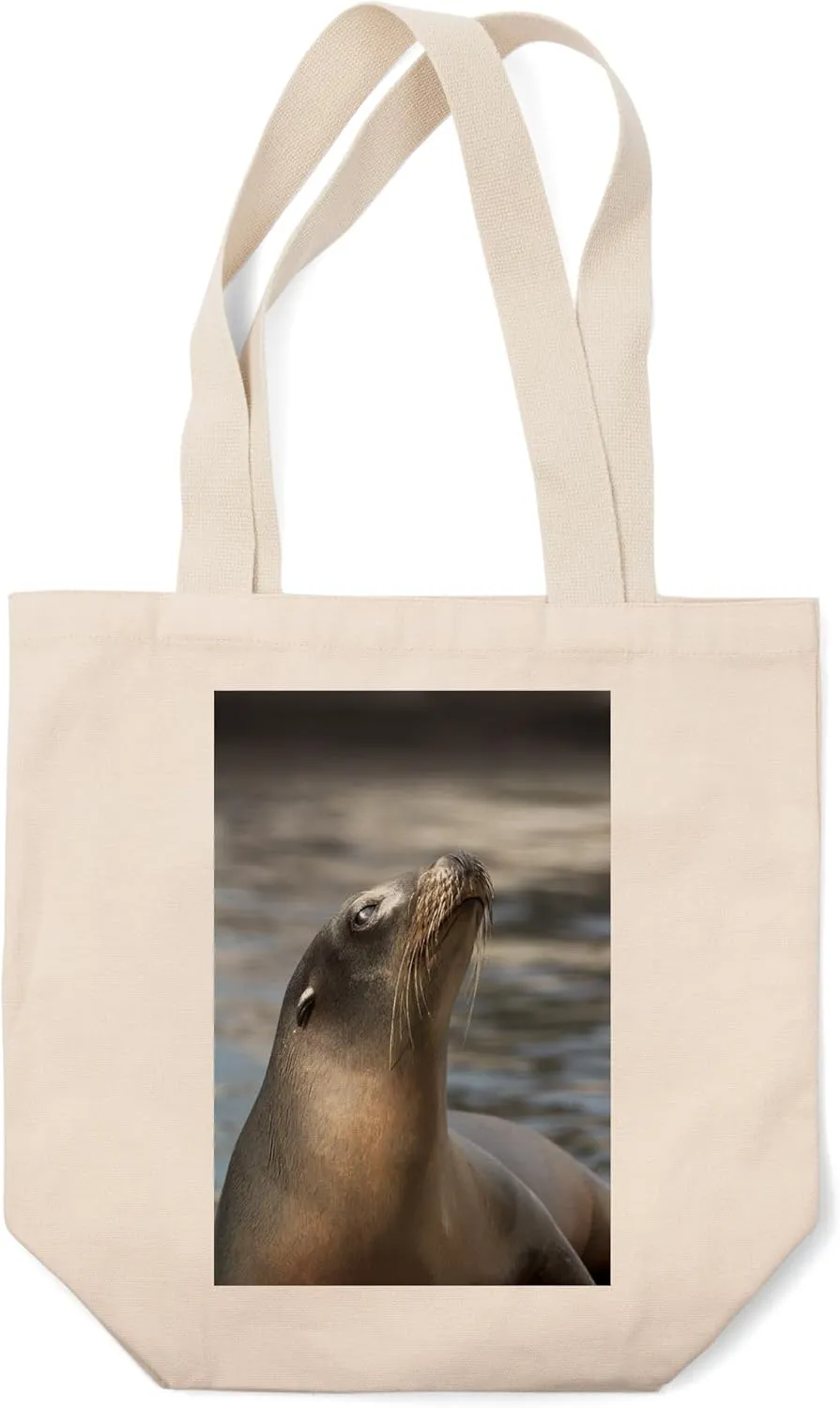 Lantern Press Harbor Seal (100% Cotton Canvas Reusable Tote Bag)