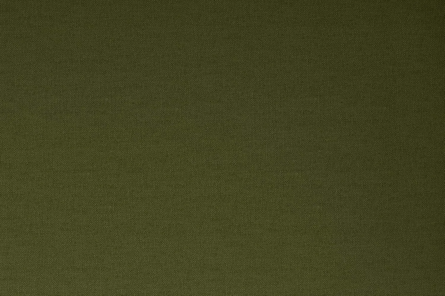 Novogratz Brittany 82 Inch Futon Sofa Bed in Faux Leather, Upholstered Couch Sleeper with Tufted Back, Mid-Century Modern Design, Green